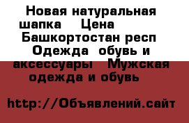 Новая натуральная шапка  › Цена ­ 1 000 - Башкортостан респ. Одежда, обувь и аксессуары » Мужская одежда и обувь   